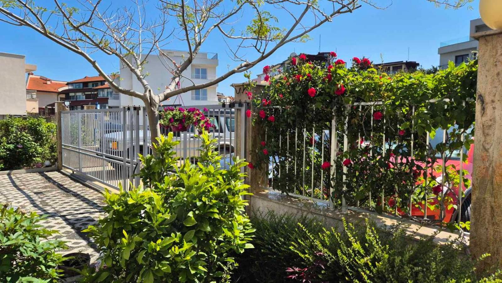 Villa Flora 索佐波尔 外观 照片